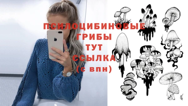apvp Наволоки