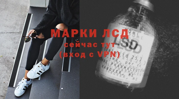гидра Магас