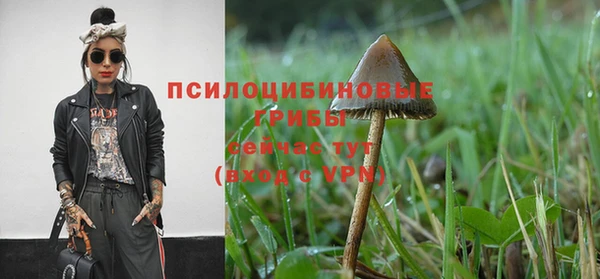 круглые Михайловка