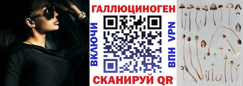 закладки  Пыталово  Псилоцибиновые грибы Cubensis 